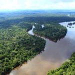 Ideflor-Bio discute com extrativistas desenvolvimento sustentável na Floresta Estadual do Paru